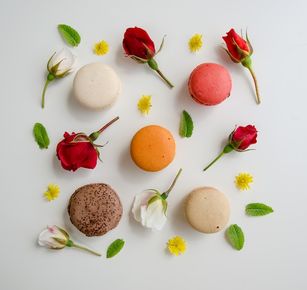 Beautiful rose and assortment of macarons