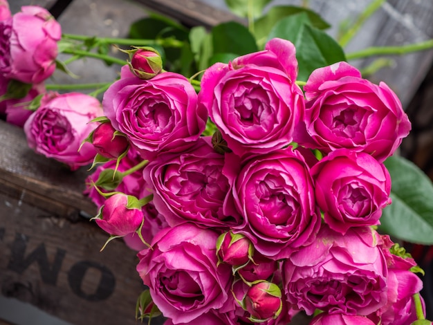 Belle rose di bush di bush, primo piano dei fiori di nozze.