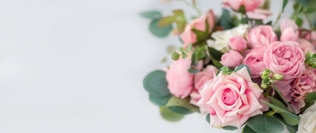 Beautiful rose flowers on light background