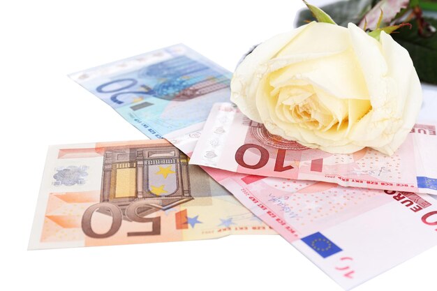 Beautiful rose and money, isolated on white