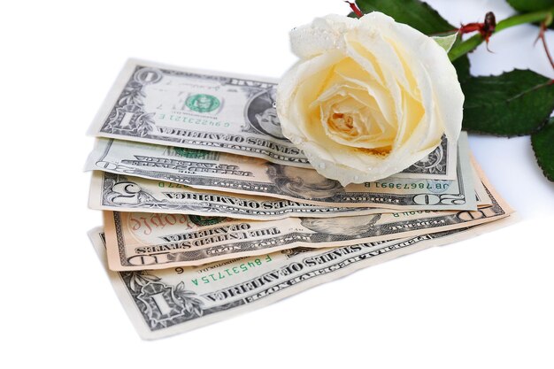 Beautiful rose and money, isolated on white