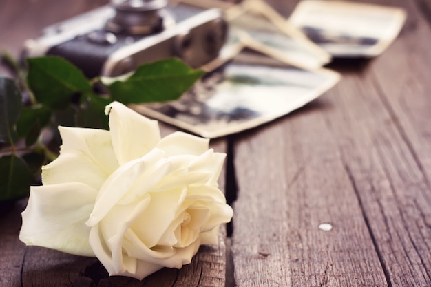 Beautiful rose, old photos and camera.