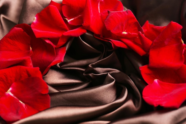 Beautiful rose petals, on satin background