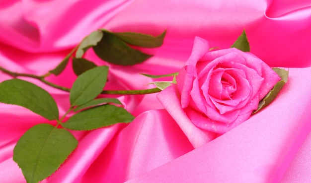 Beautiful rose on pink cloth