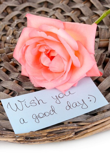 Photo beautiful rose on wicker mat with card isolated on white