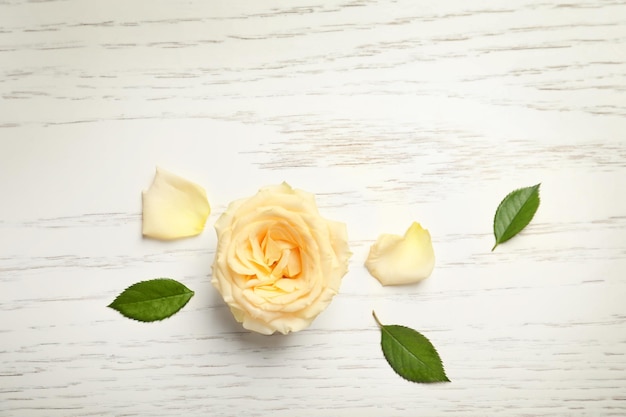 Beautiful rose on wooden background