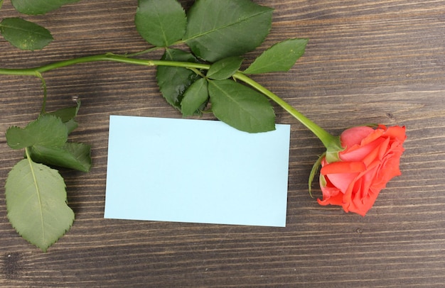 Beautiful rose on wooden background