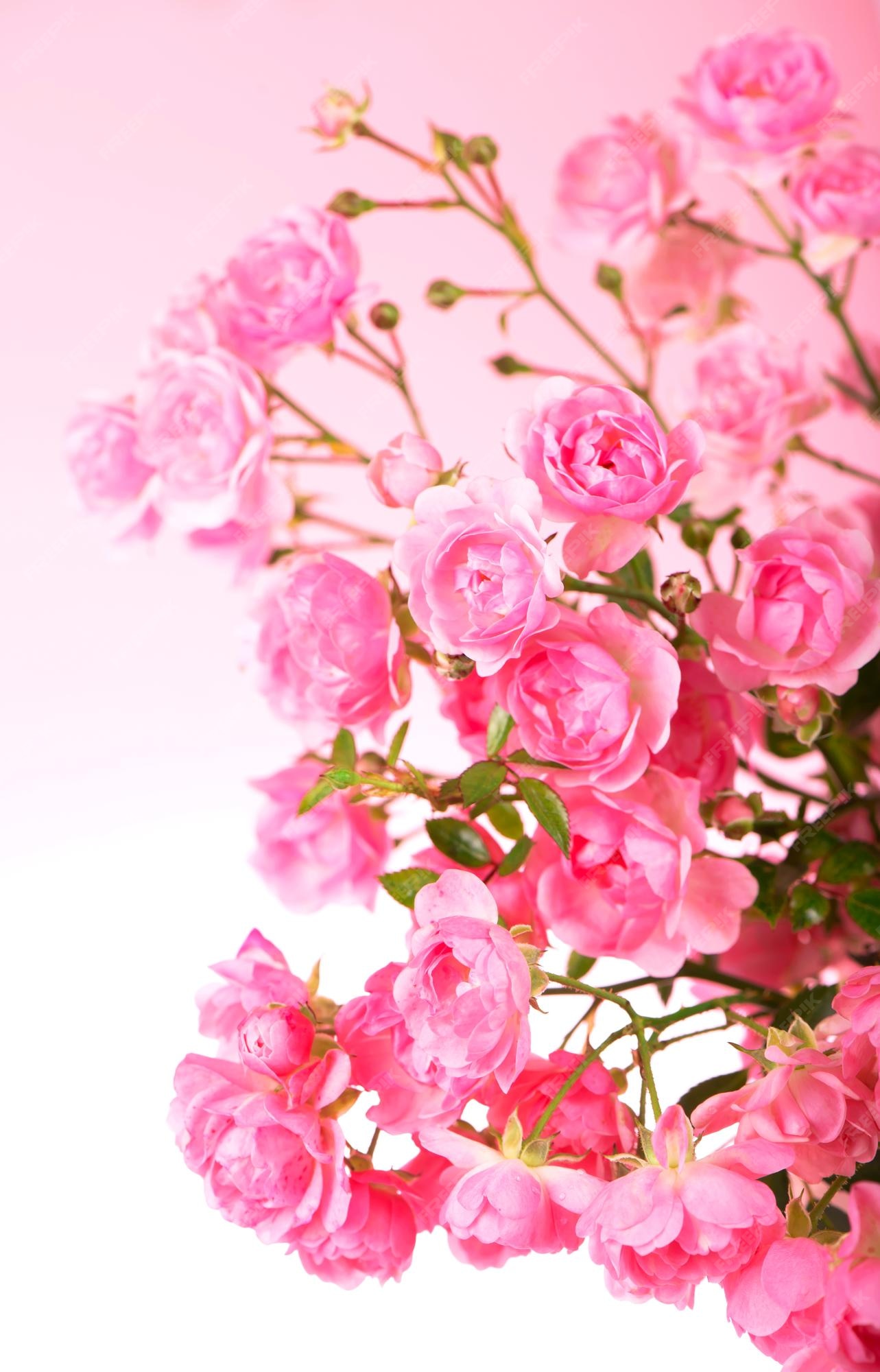 Premium Photo | Beautiful roses bouquet flowers isolated on pink background
