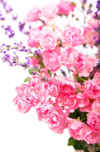 Beautiful Roses Bouquet Flowers isolated on white background