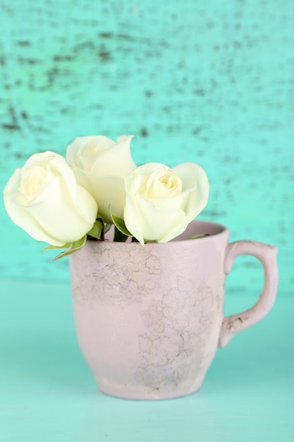 Beautiful roses in cup on blue background