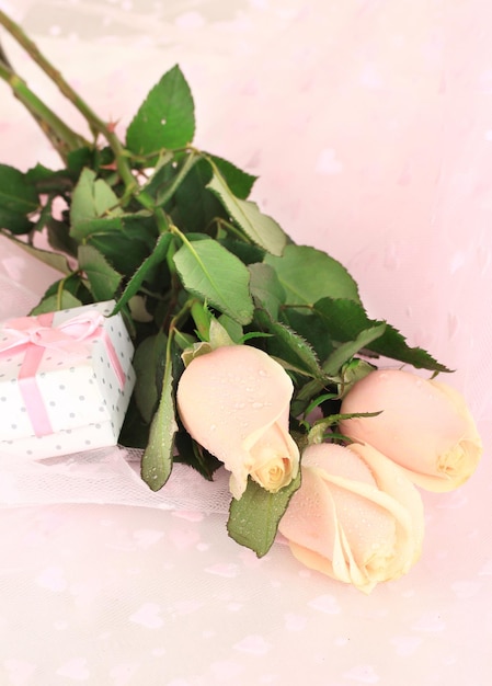 Beautiful roses and gift on pink cloth, close up