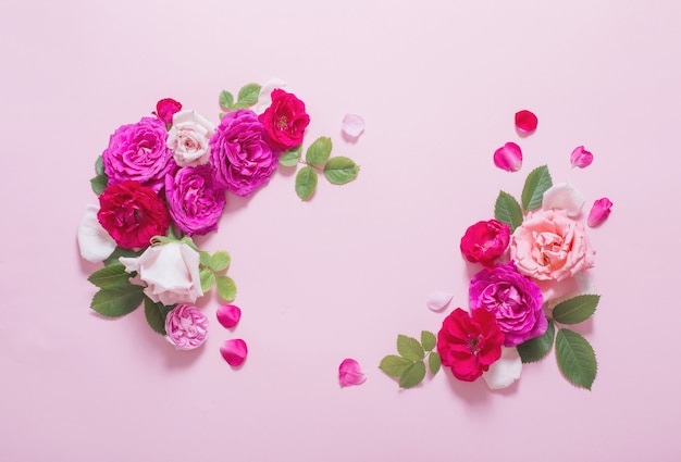 Beautiful roses on pink paper background