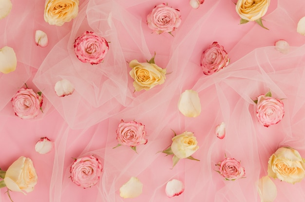 Belle rose su tessuto tulle