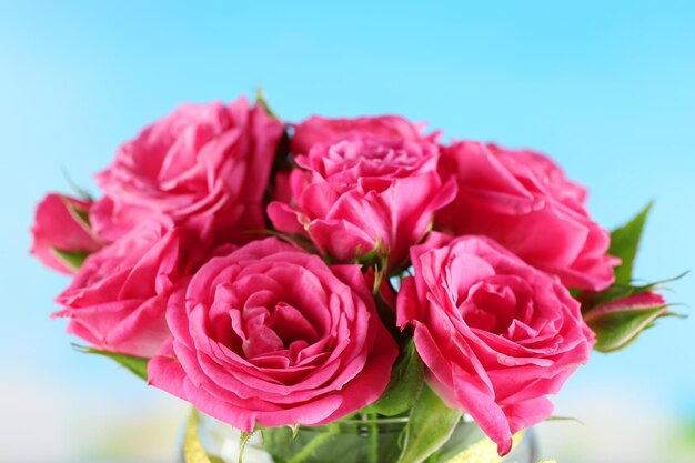 Beautiful roses in vase on bright background