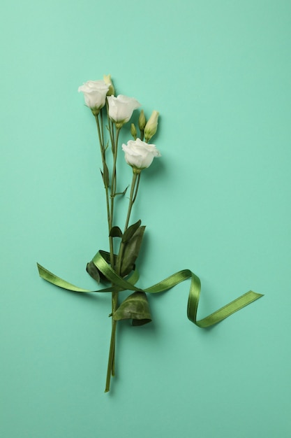 Beautiful roses with green ribbon on mint background