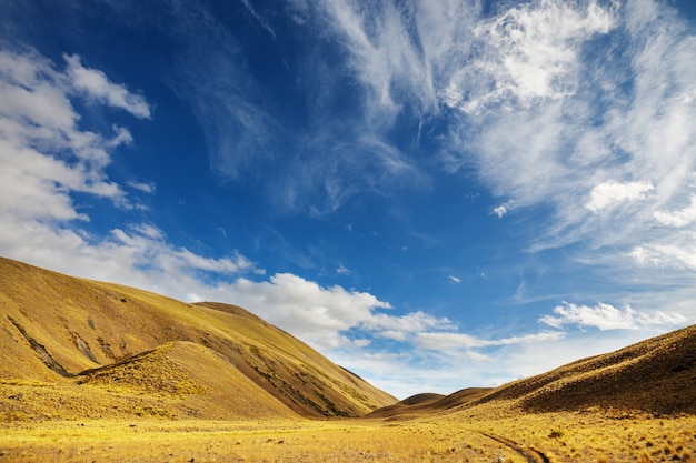 뉴질랜드의 아름다운 시골 풍경-푸른 언덕과 나무