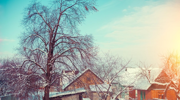 Beautiful rural landscape Village in the forest in snowy winter