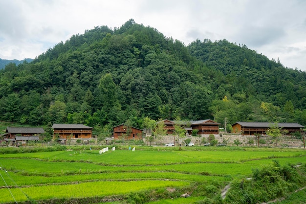 Splendido scenario rurale in cina