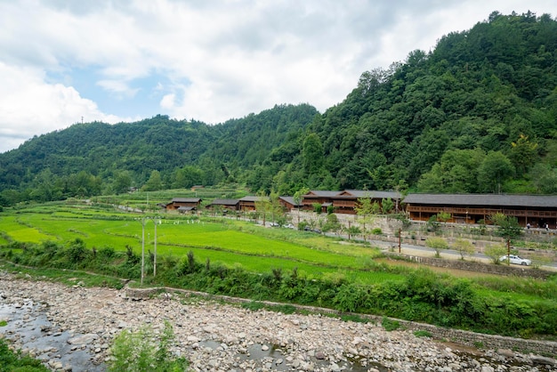 Splendido scenario rurale in cina