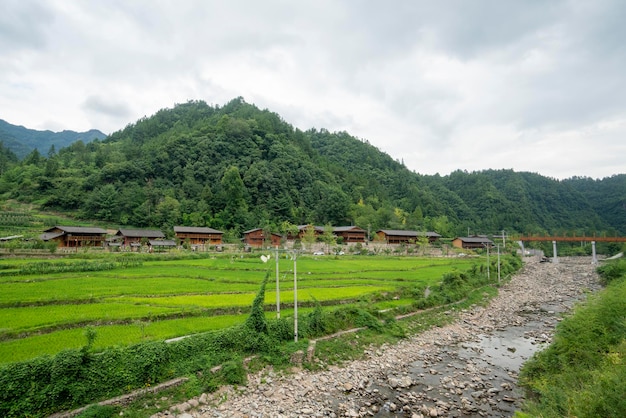 Splendido scenario rurale in cina