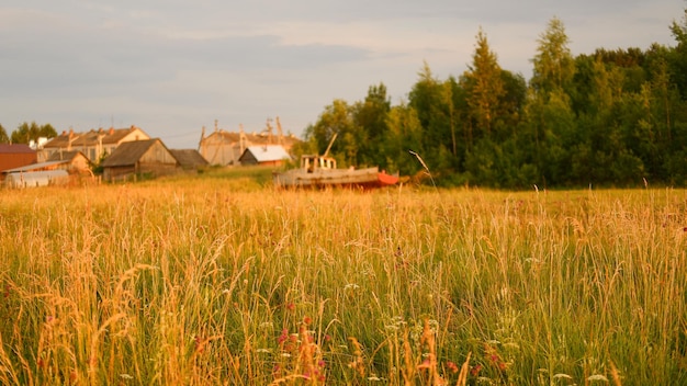 Beautiful rustic summer landscape old wooden log houses vologda region