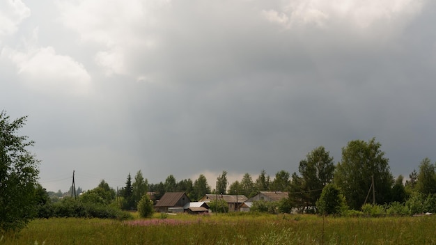 Красивый деревенский летний пейзаж старые деревянные бревенчатые дома вологодской области