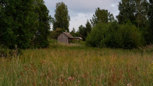 Beautiful rustic summer landscape Old wooden log houses Vologda region