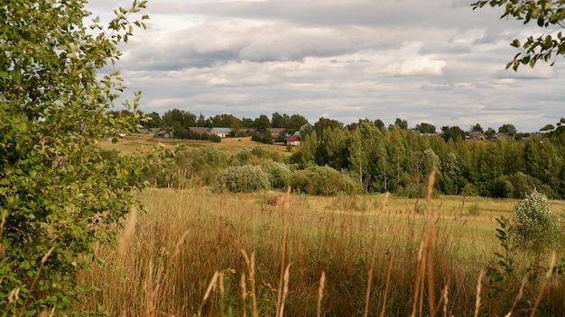 Beautiful rustic summer landscape Old wooden log houses Vologda region