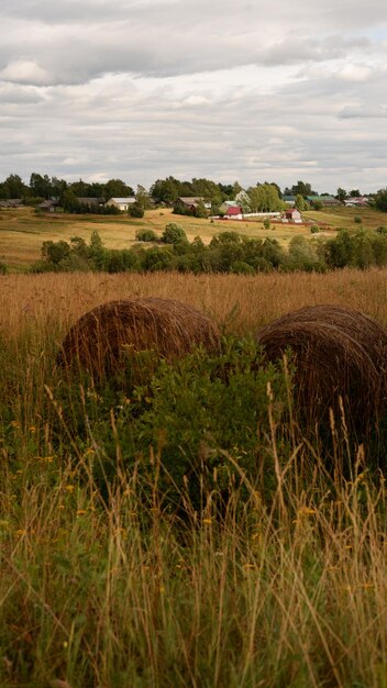 Beautiful rustic summer landscape with old wooden houses and hay in the field