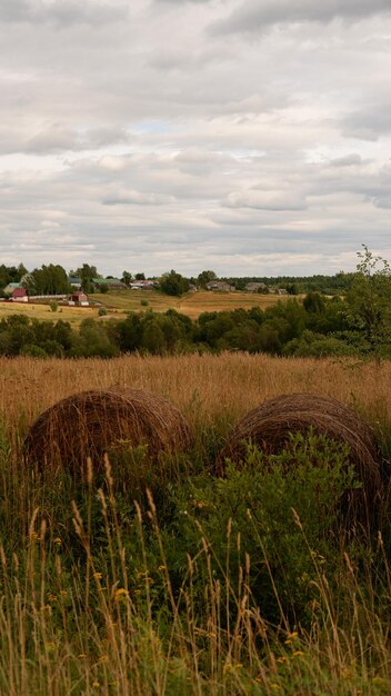 Beautiful rustic summer landscape with old wooden houses and hay in the field