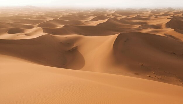 Foto il bellissimo deserto del sahara