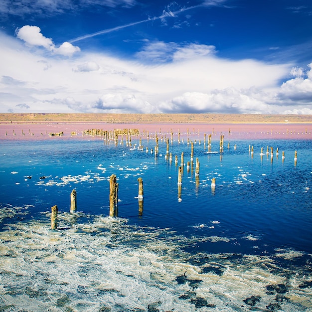 Beautiful salt lake with blue and pink water  white clouds  and wooden posts natural landscape amazing background