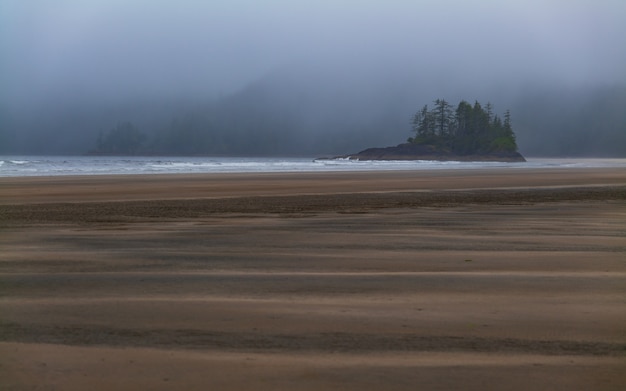 Beautiful San Josef bay beach with lone island of trees on Vancouver Island, in British Columbia, Canada, on a foggy wet day.