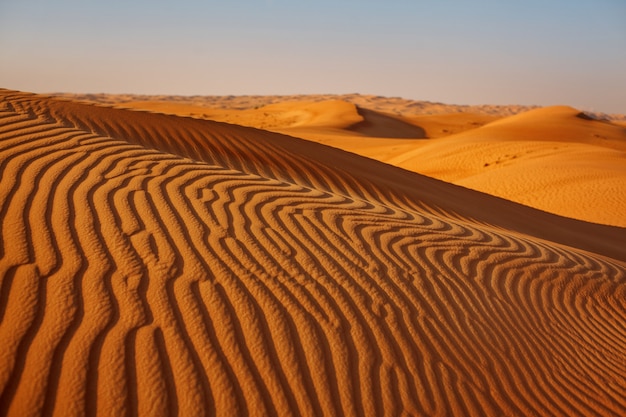 Belle dune di sabbia nel deserto al tramonto