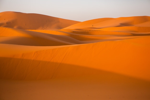 Фото Красивые песчаные дюны в пустыне сахара в марокко