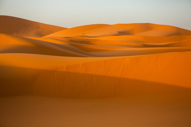 Photo beautiful sand dunes in the sahara desert in morocco