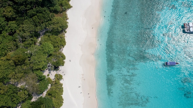 Similan 섬에서 모래 사장에 부서지는 파도와 아름다운 모래 해변 Similan 국립 공원 Phang nga 태국에서 아름다운 열대 바다 Similan 섬 No4