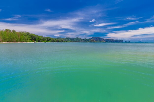 Beautiful sandy beaches and pine tree views at Paradise Islandin krabi Thailand