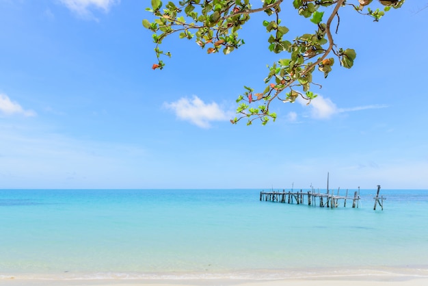 Beautiful sandy and old bridge in the water,Tree top view of koh samet thailand