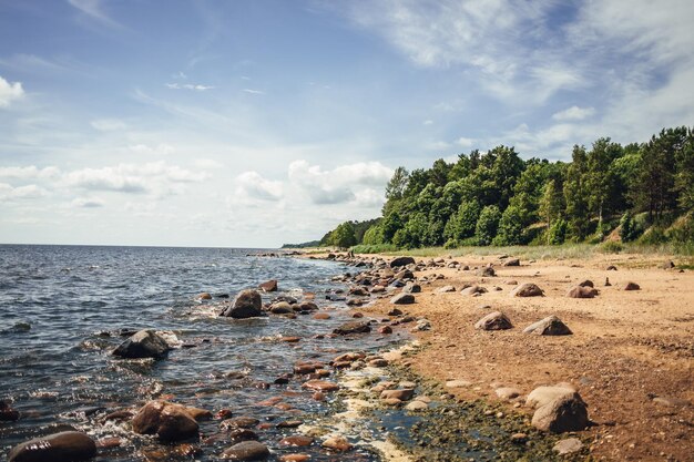 Beautiful scenery of the beach with splashing sea waves