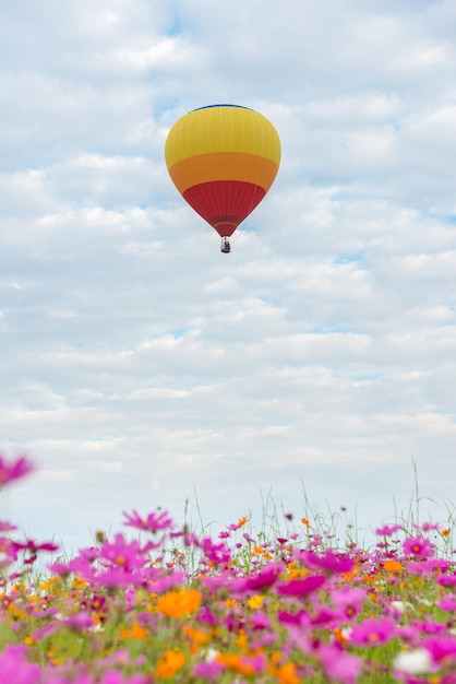 The beautiful scenery of the hot air balloon flying over the colorful cosmos flower field