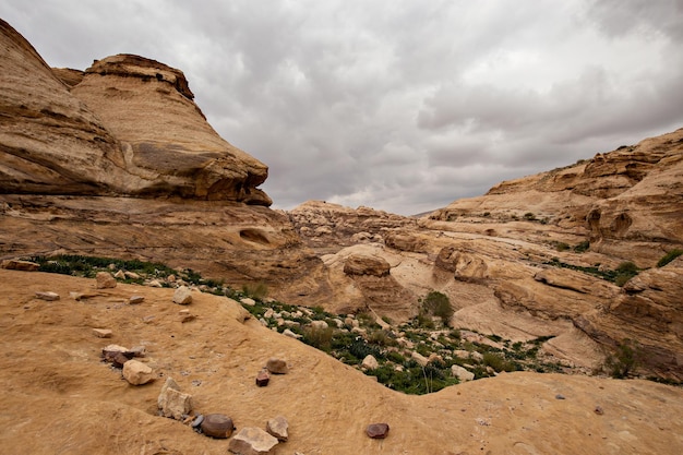 Beautiful scenery of jordan desert. rocky sandstone mountains\
landscape in jordan desert near petra