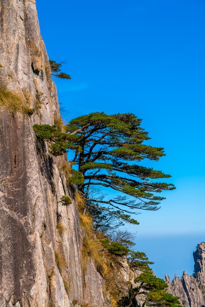 Photo beautiful scenery in mount huangshan, china