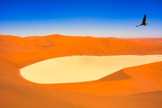 The beautiful scenery of the namib desert