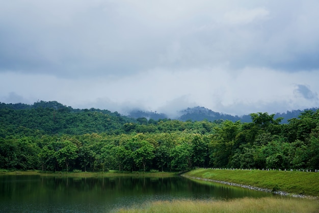 Photo beautiful scenery of nimbostratus, stratus cloud and foggy overcast