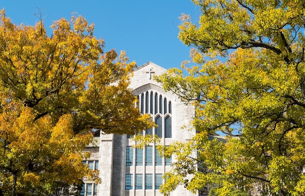 写真 ソウルのエファウーマンズ大学の美しい風景