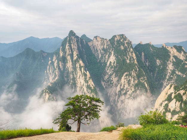 사진 산시 성 huashan 산에서 봉우리와 안개의 아름다운 풍경