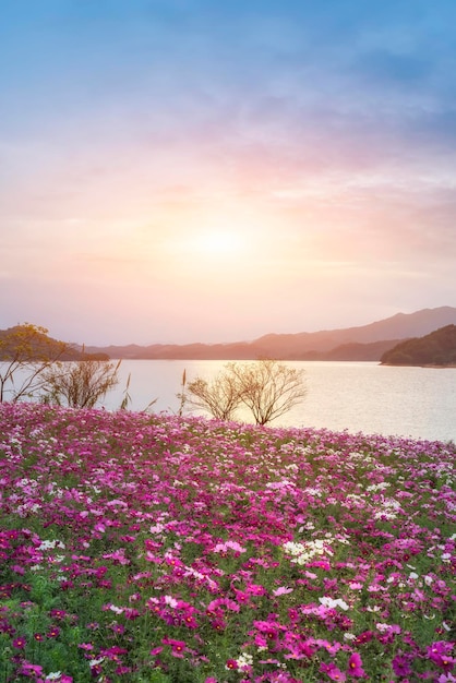 The beautiful scenery of Qiandao Lake in the sunset