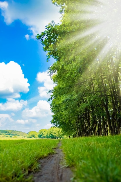 Beautiful scenery on the road in the nature park