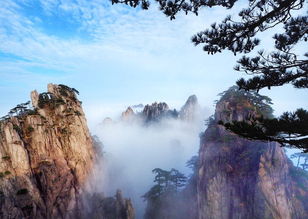 Photo beautiful scenery sea of mist at huangshan mountain in anhui province, china.